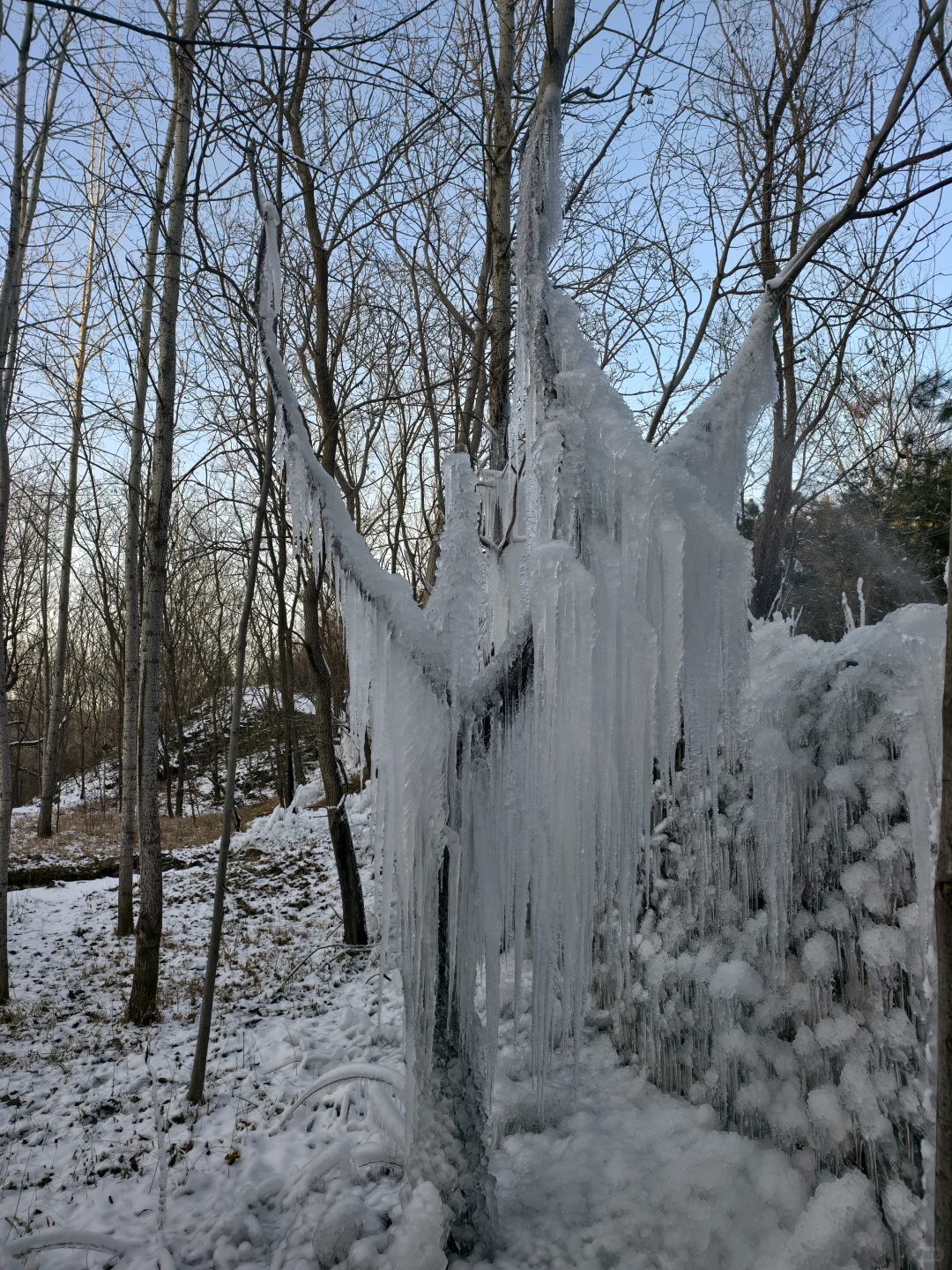30分钟车程 石家庄的雪景真的震撼我