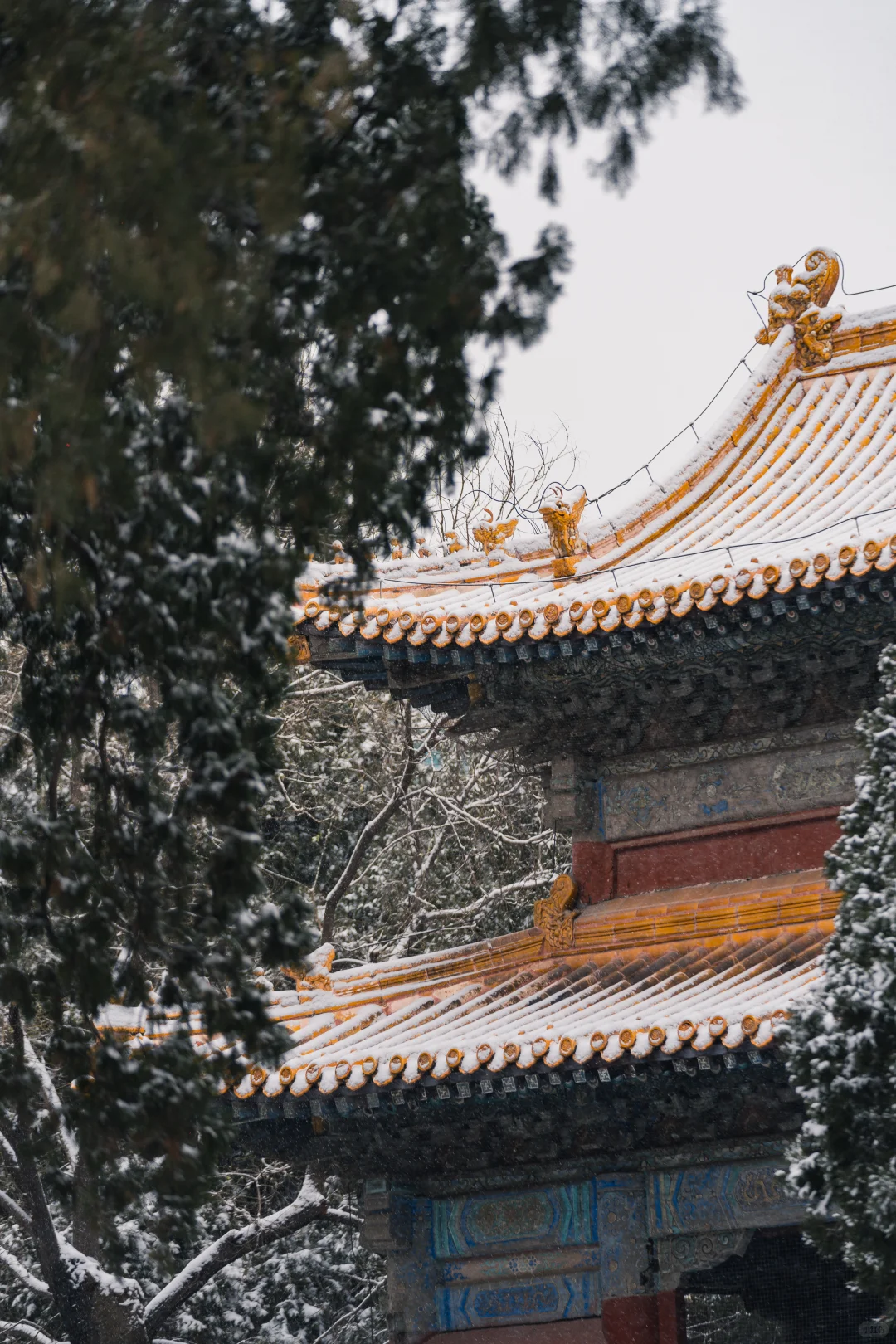石家庄初雪，赴隆兴寺之约❄️