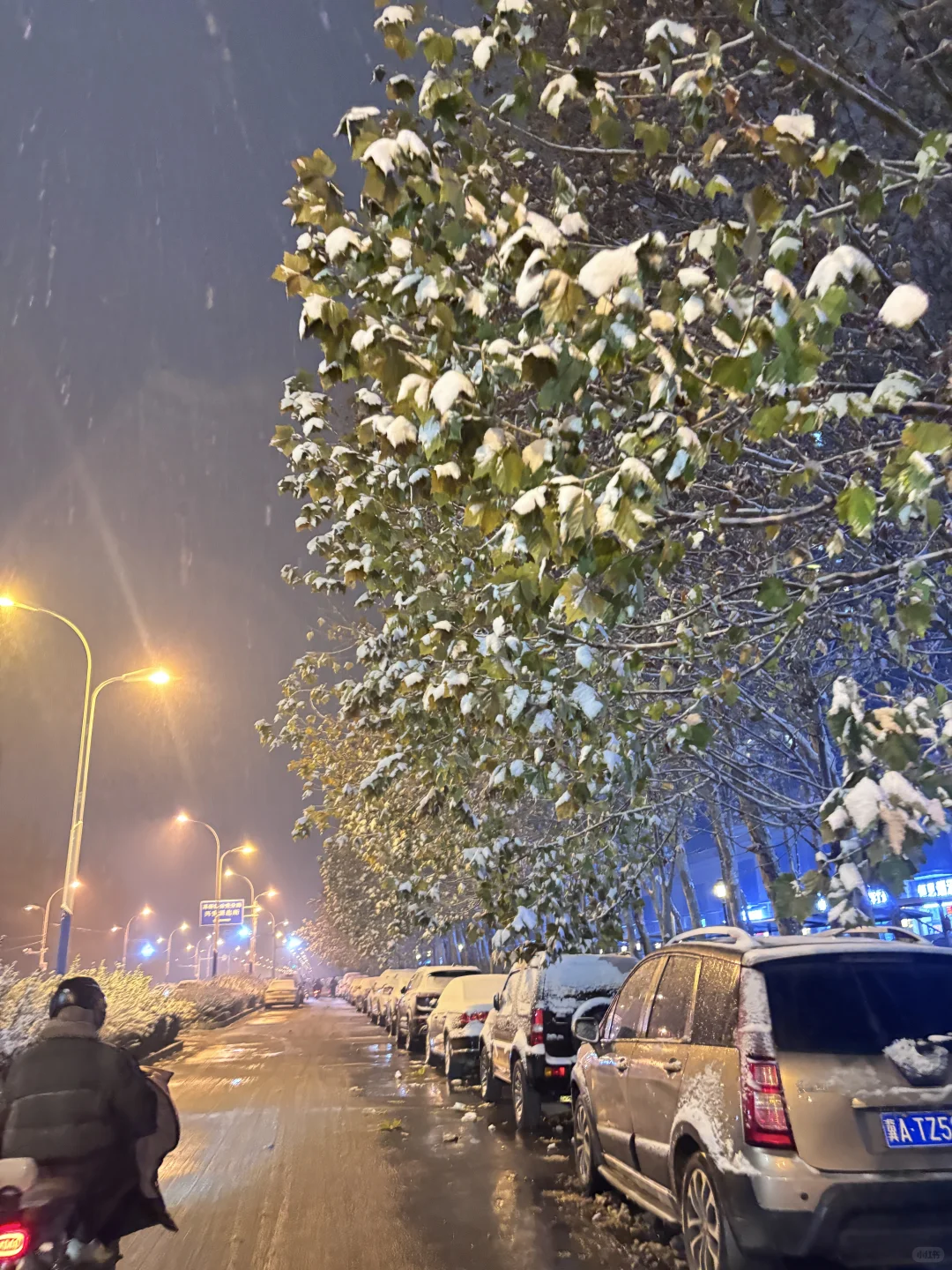 石家庄这个大雪让我感觉回到了东北