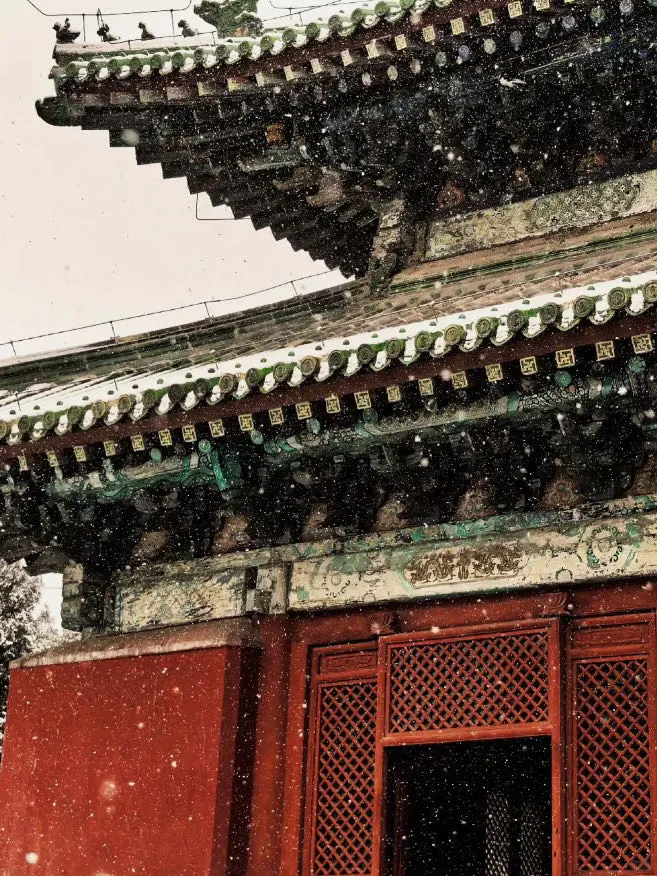 石家庄初雪❄️正定雪城  打卡古寺风雪