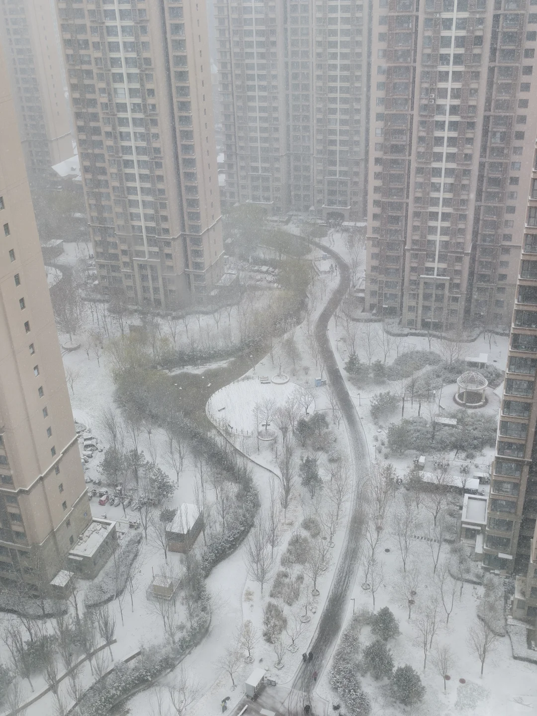 石家庄那些扬言今天下雪就去舔槐安路的人呢