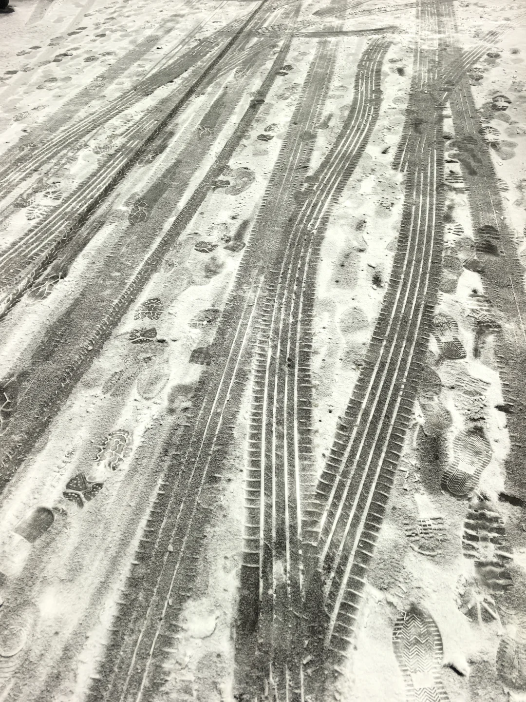 他朝若是同淋雪