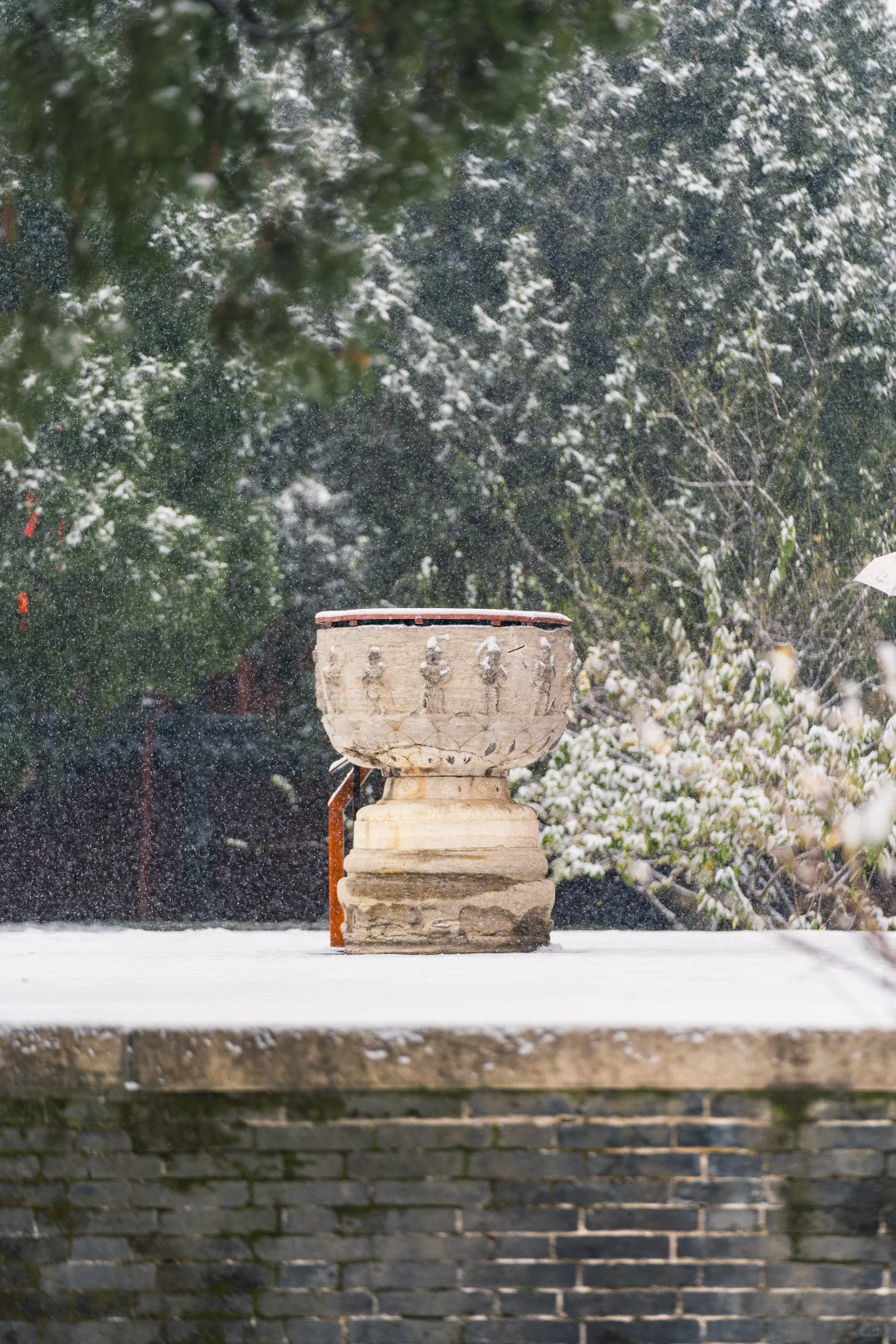 石家庄初雪，赴隆兴寺之约❄️