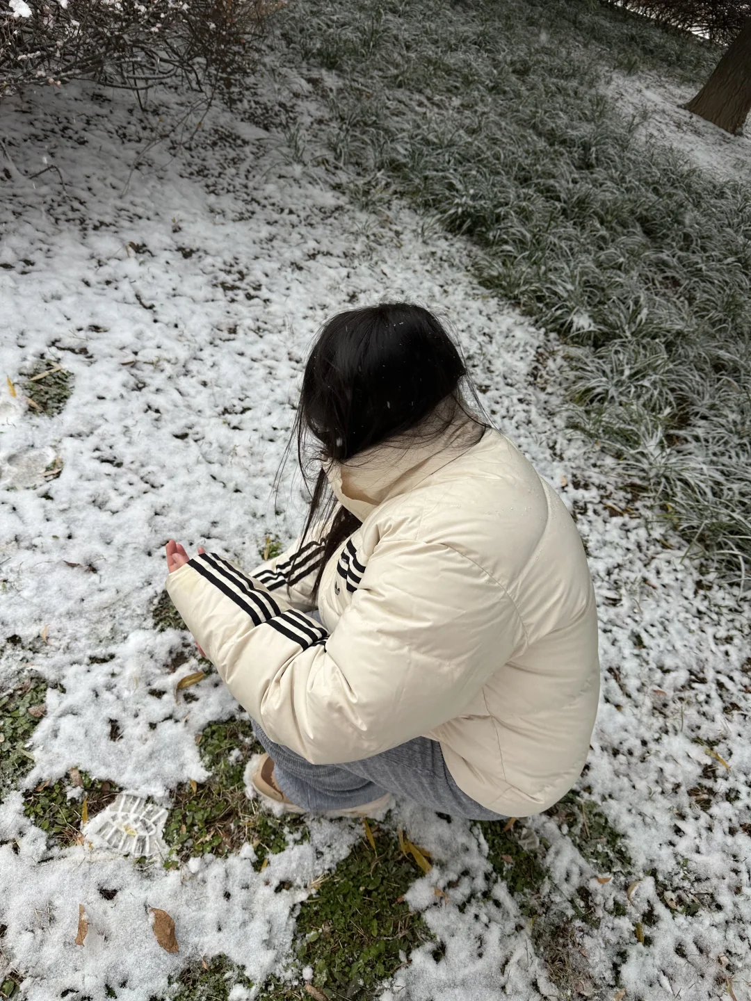 12月2日实况！！邯郸的大雪好美！！！