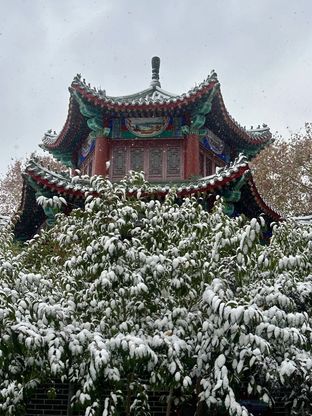 12月2日实况！！邯郸的大雪好美！！！