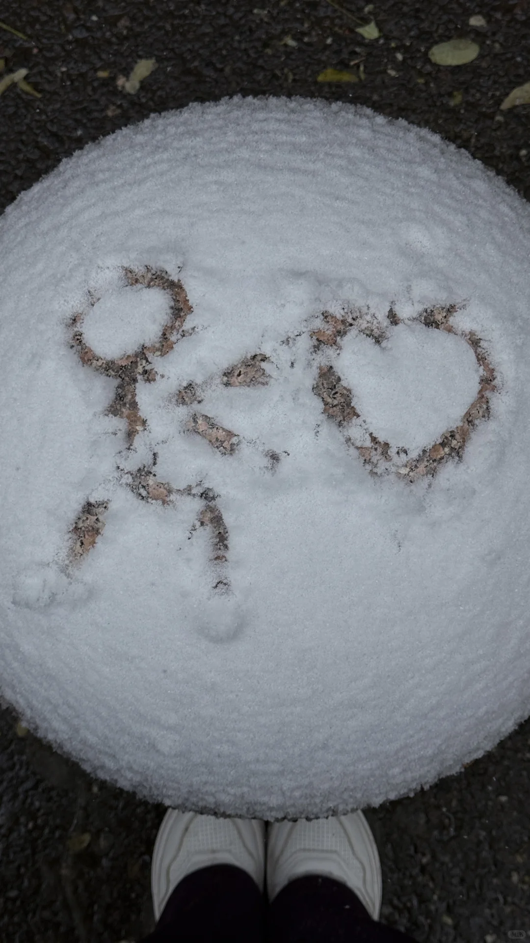 2025年12月12日，石家庄初雪❄️