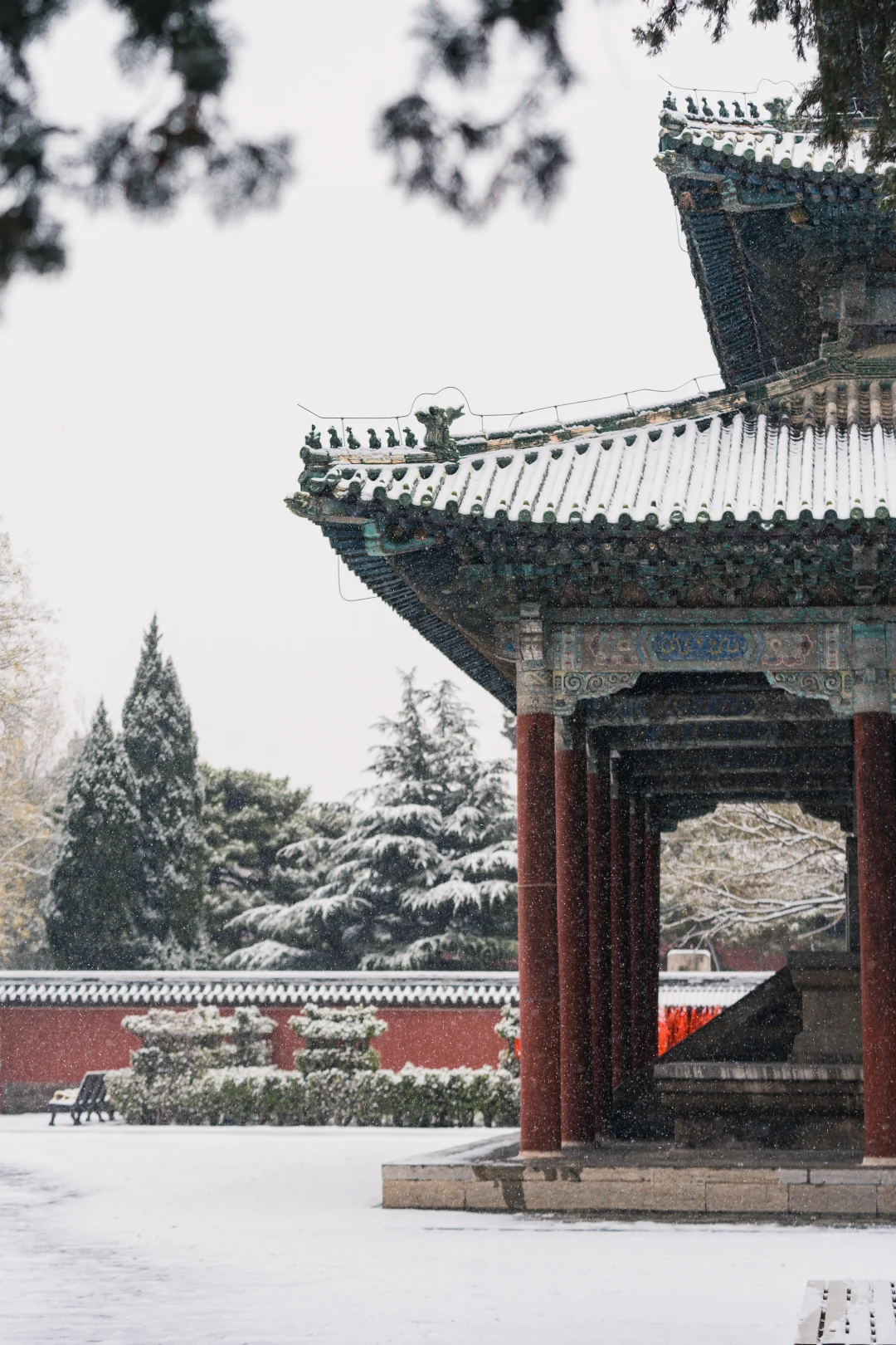 石家庄初雪，赴隆兴寺之约❄️