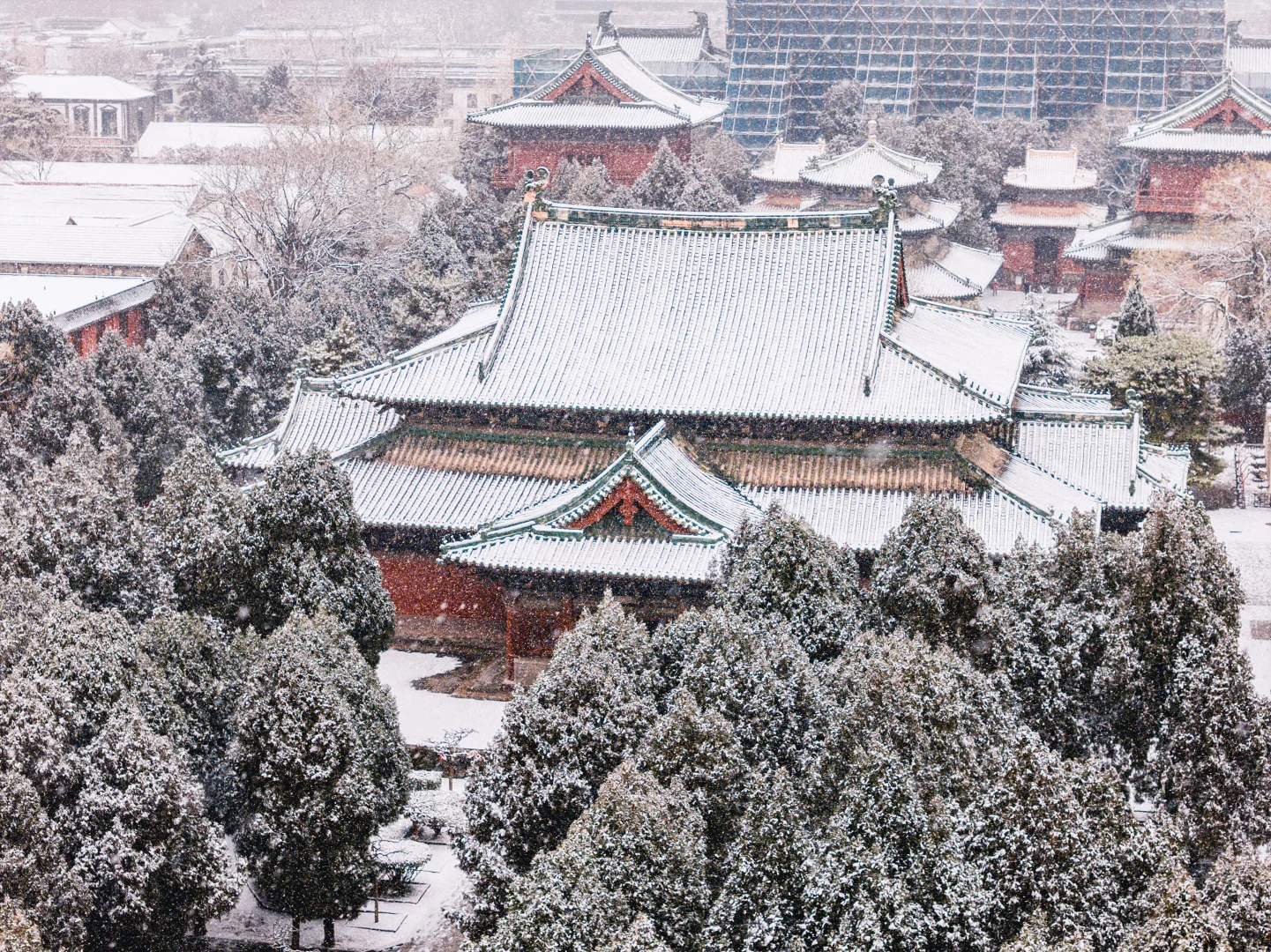 石家庄初雪，赴隆兴寺之约❄️