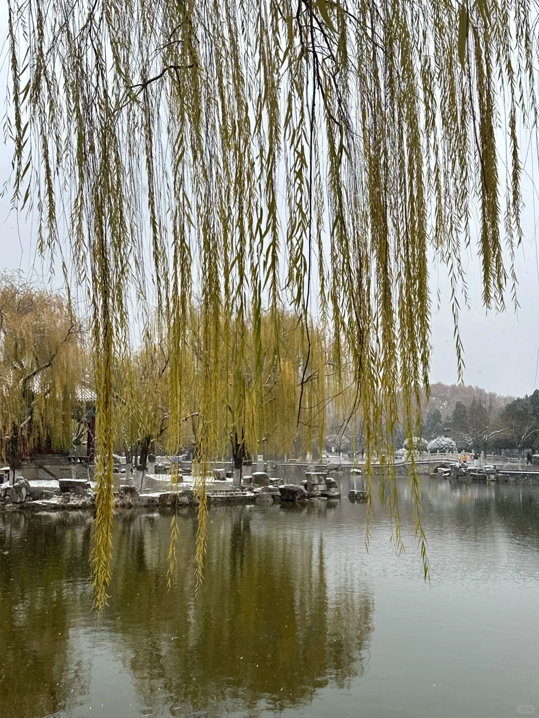12月2日实况！！邯郸的大雪好美！！！