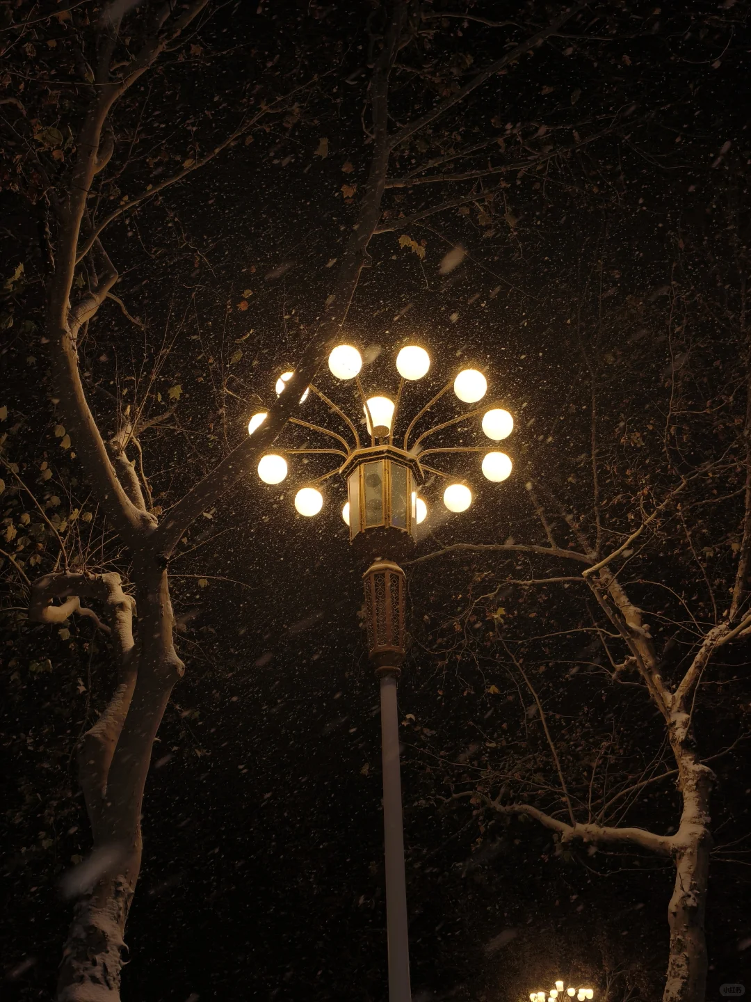 分享你手机里的初雪照片！！！！