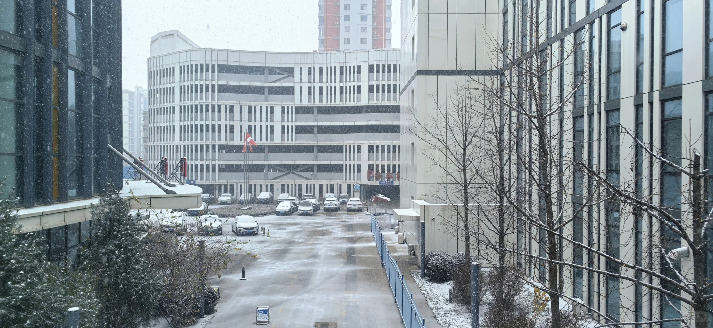 石家庄下雪啦，冬天的第一场雪🌨️