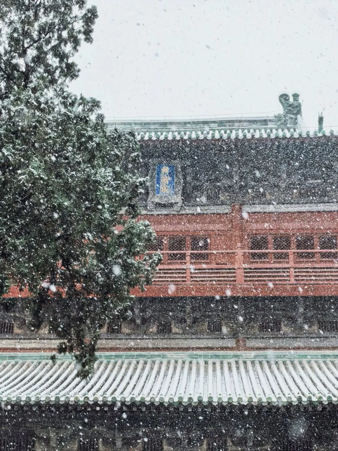 石家庄初雪❄️正定雪城  打卡古寺风雪