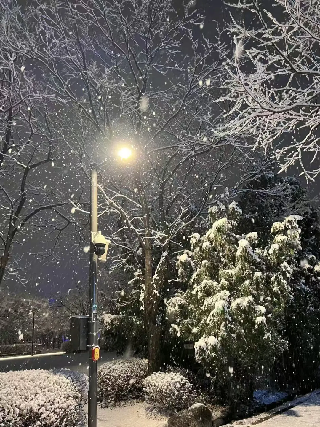 石家庄初雪❄️