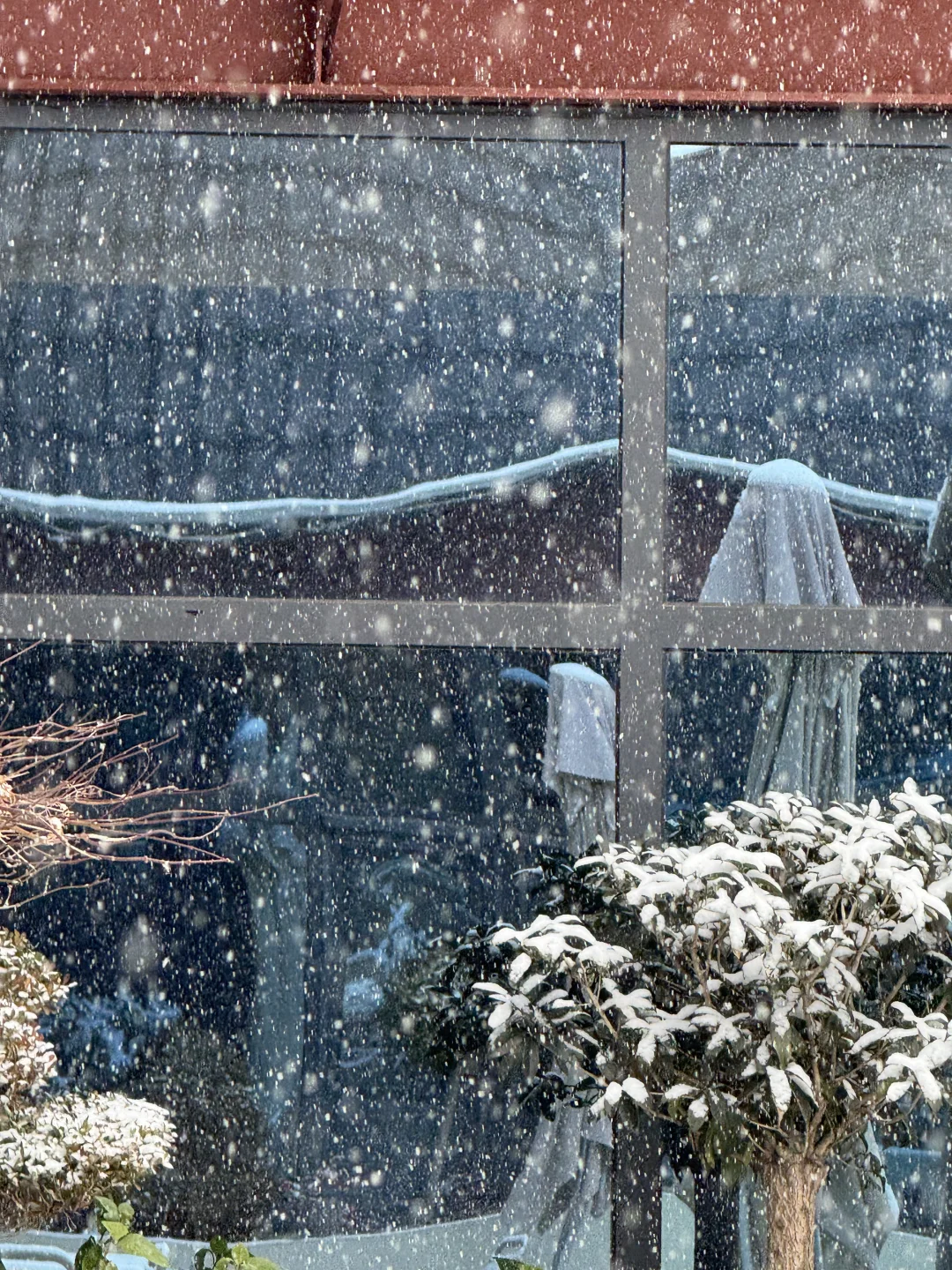 石家庄暴雪！已经下了！我将拥护带老师！