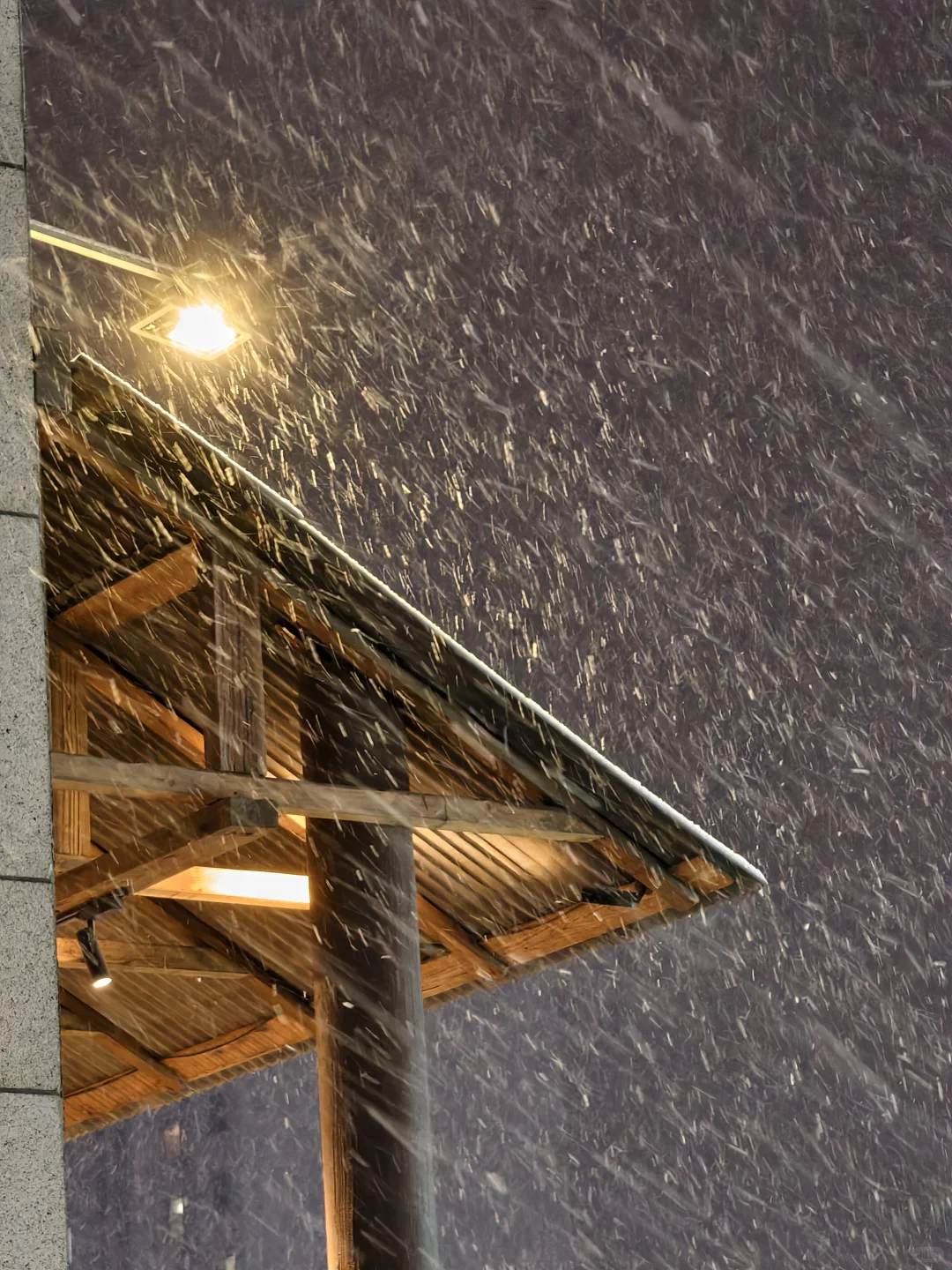分享你手机里的初雪照片！！！！