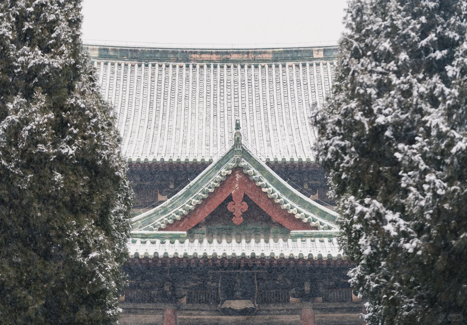石家庄初雪，赴隆兴寺之约❄️