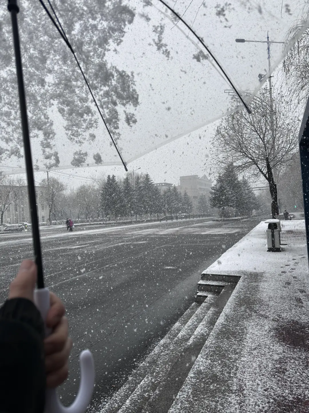 石家庄明天会不会下雪？感觉够呛呢
