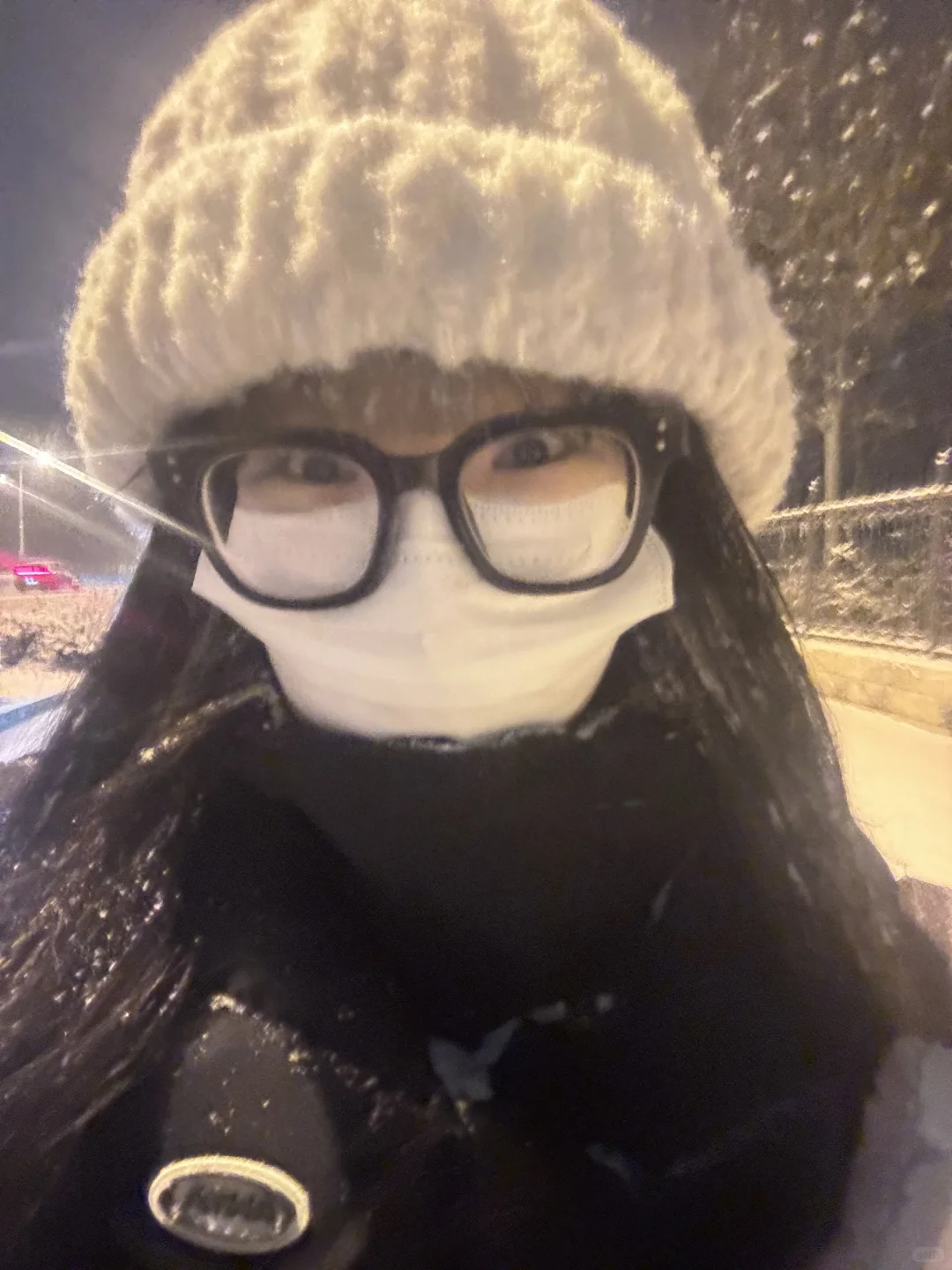 石家庄这个大雪让我感觉回到了东北