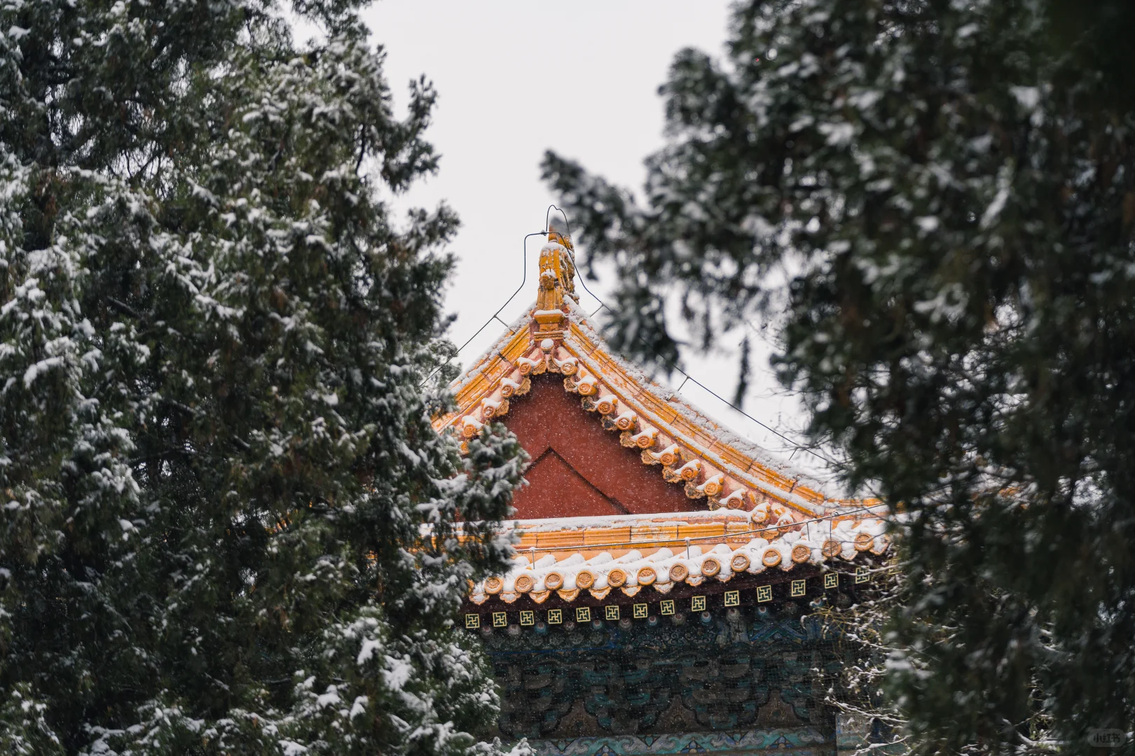 石家庄初雪，赴隆兴寺之约❄️