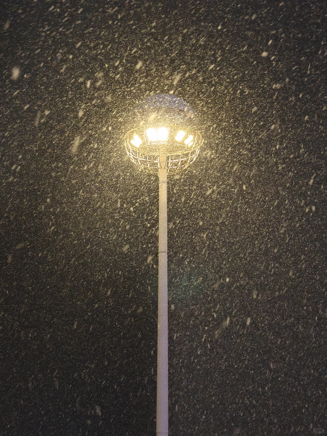 分享你手机里的初雪照片！！！！