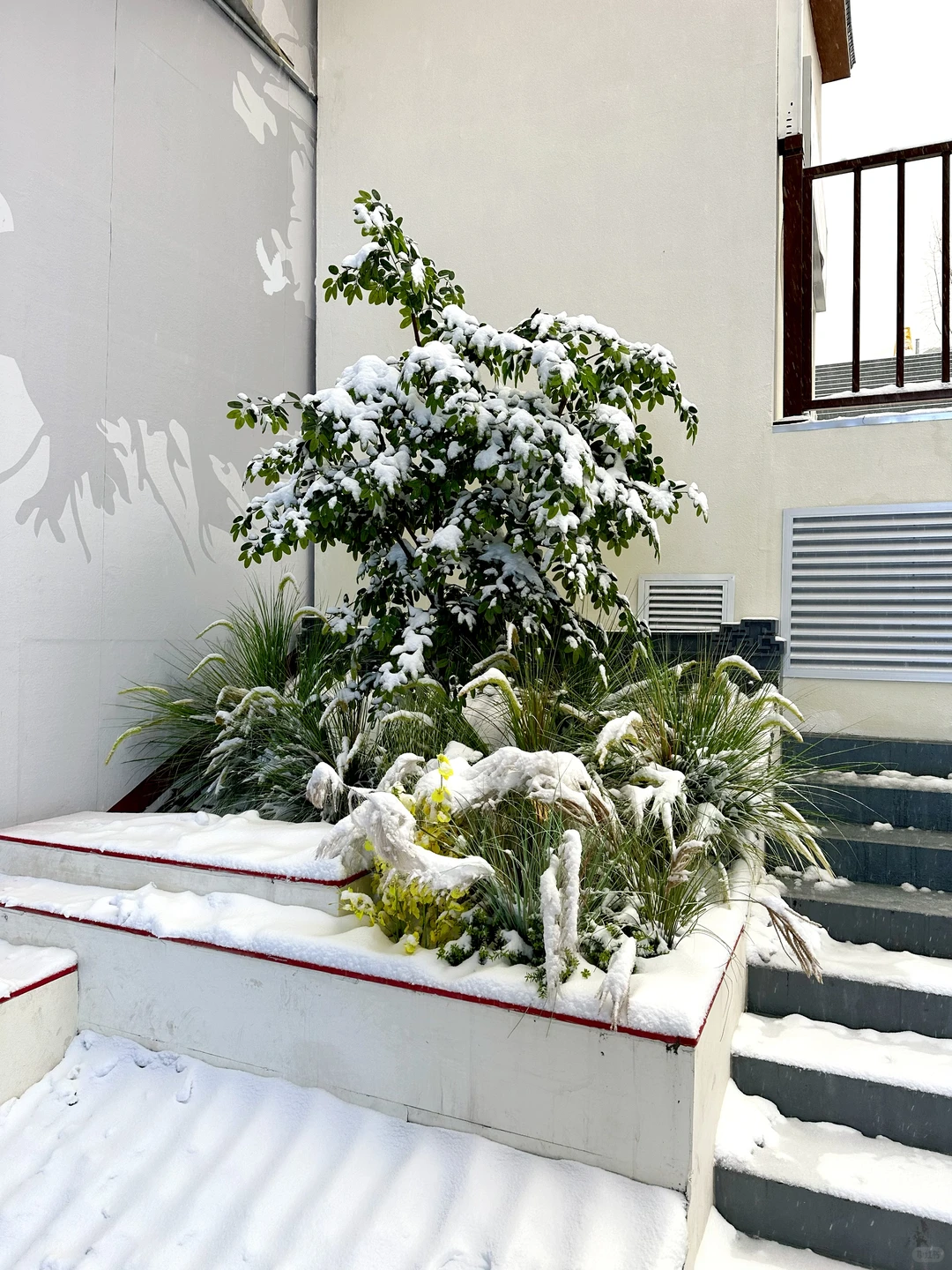 雪中的石家庄万象城美爆了！