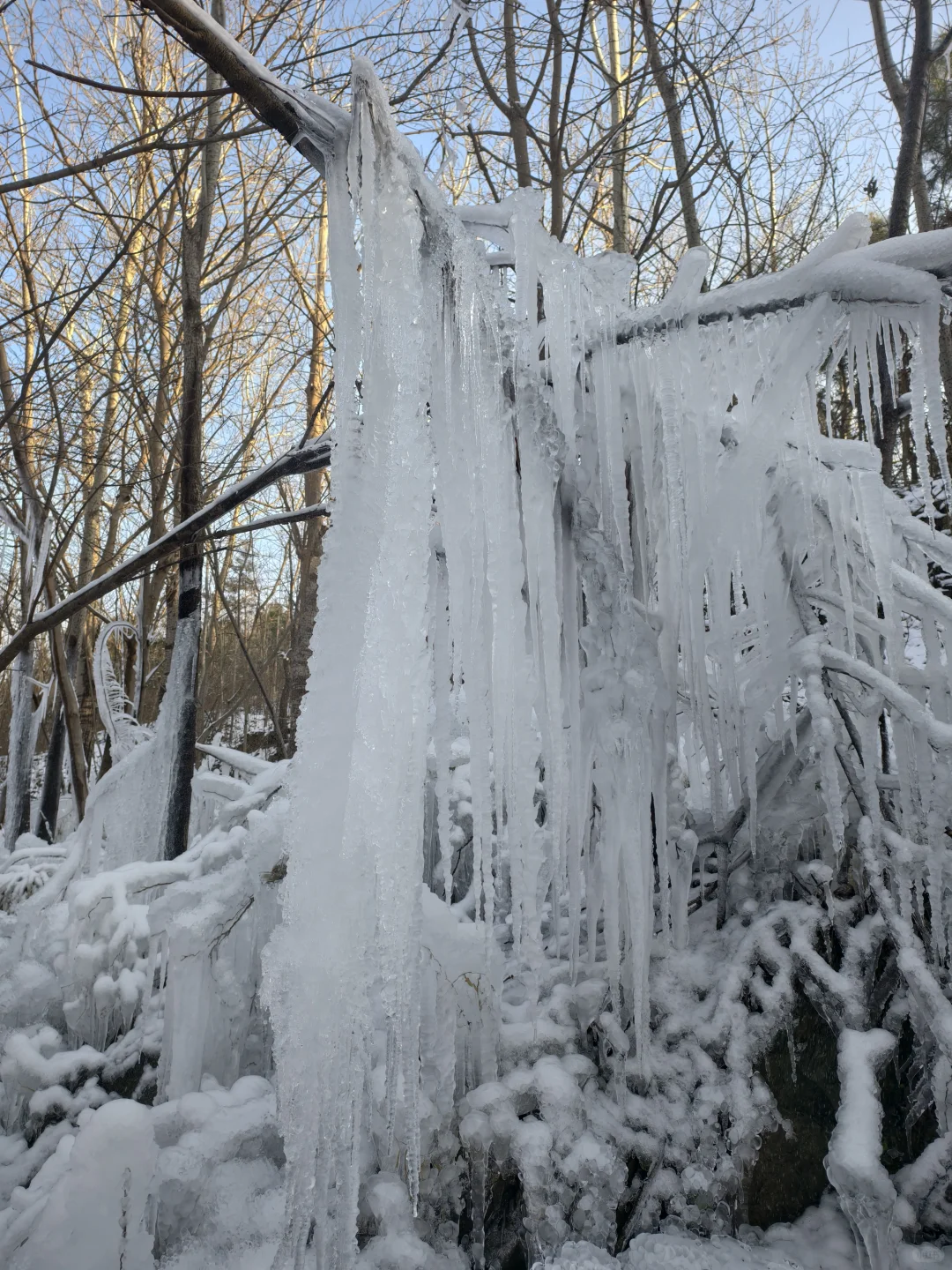 30分钟车程 石家庄的雪景真的震撼我