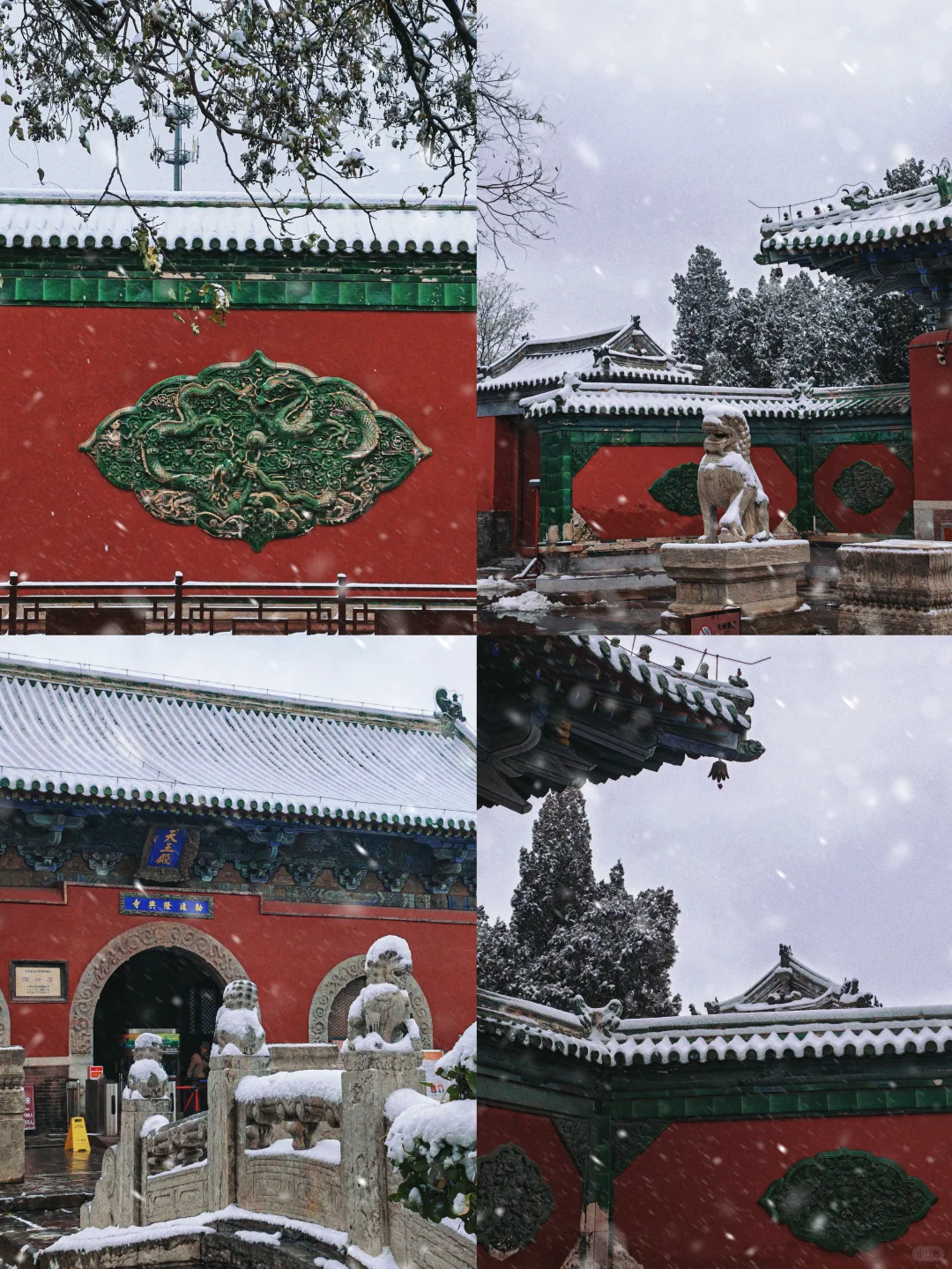 石家庄｜1️⃣6️⃣个绝美赏雪机位