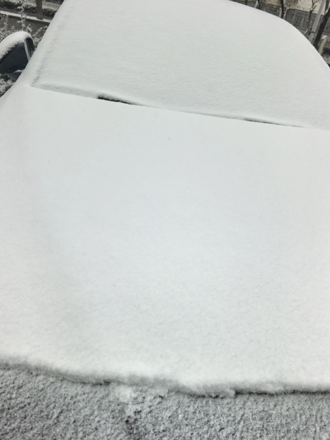 他朝若是同淋雪