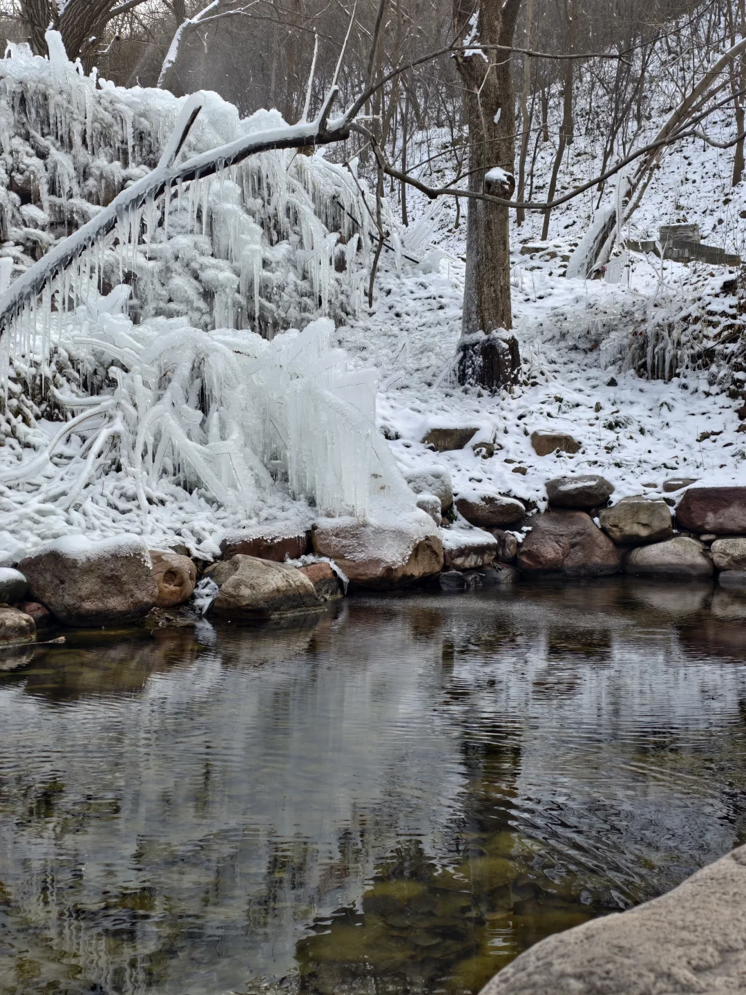30分钟车程 石家庄的雪景真的震撼我