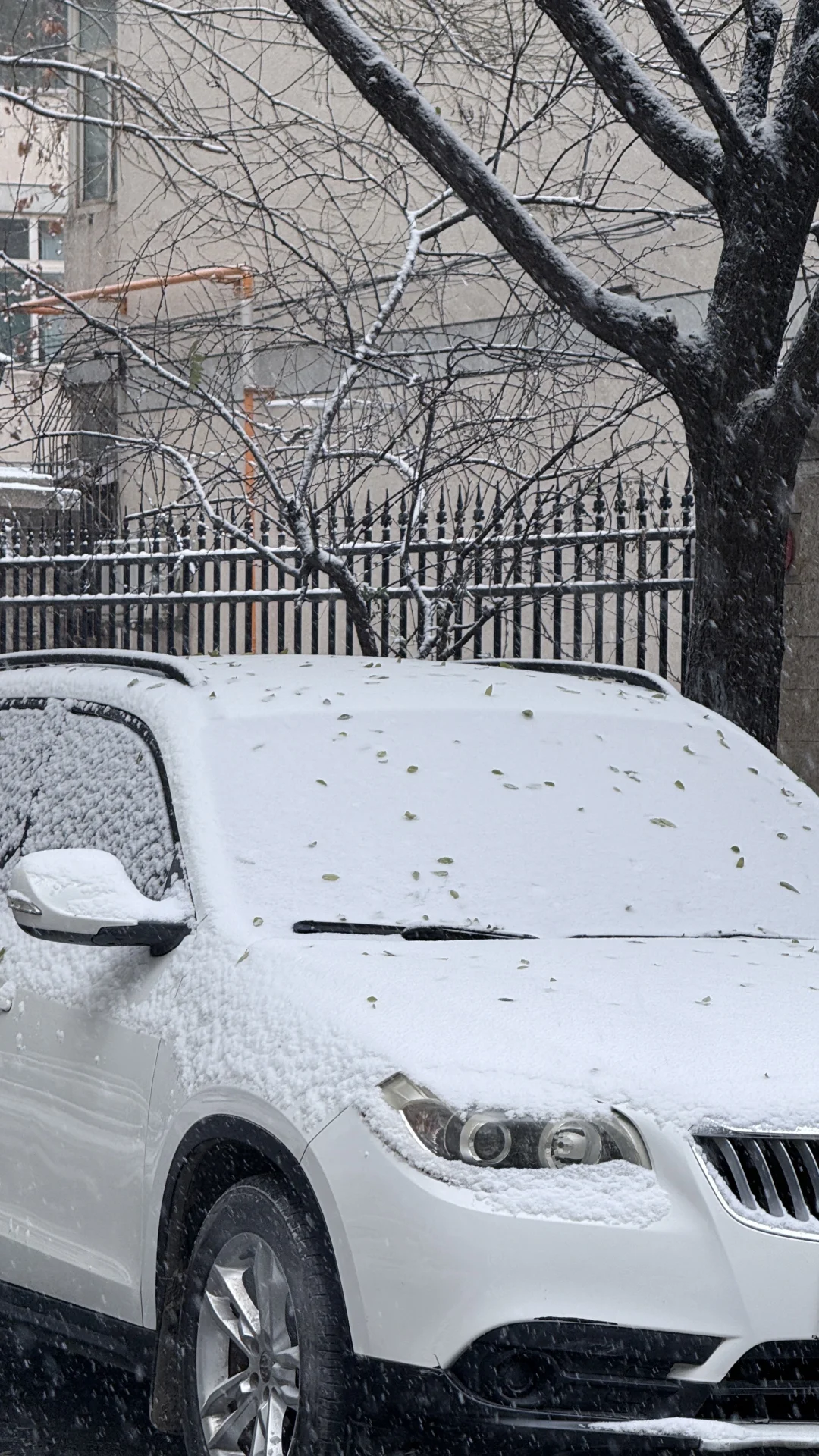 2025年12月12日，石家庄初雪❄️