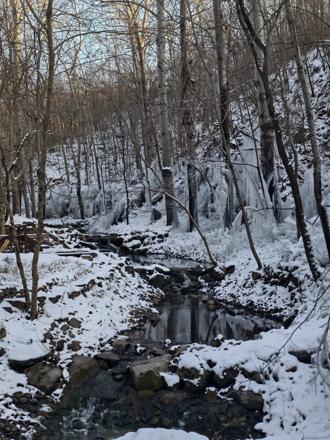 30分钟车程 石家庄的雪景真的震撼我