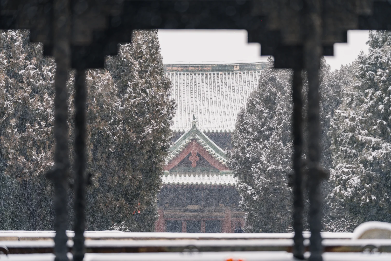 石家庄初雪，赴隆兴寺之约❄️