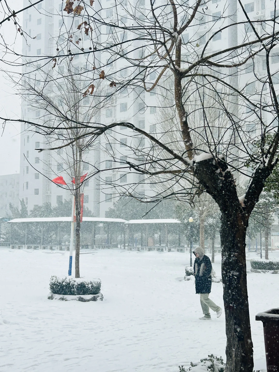 邯郸你居然真的下这么大的雪！！