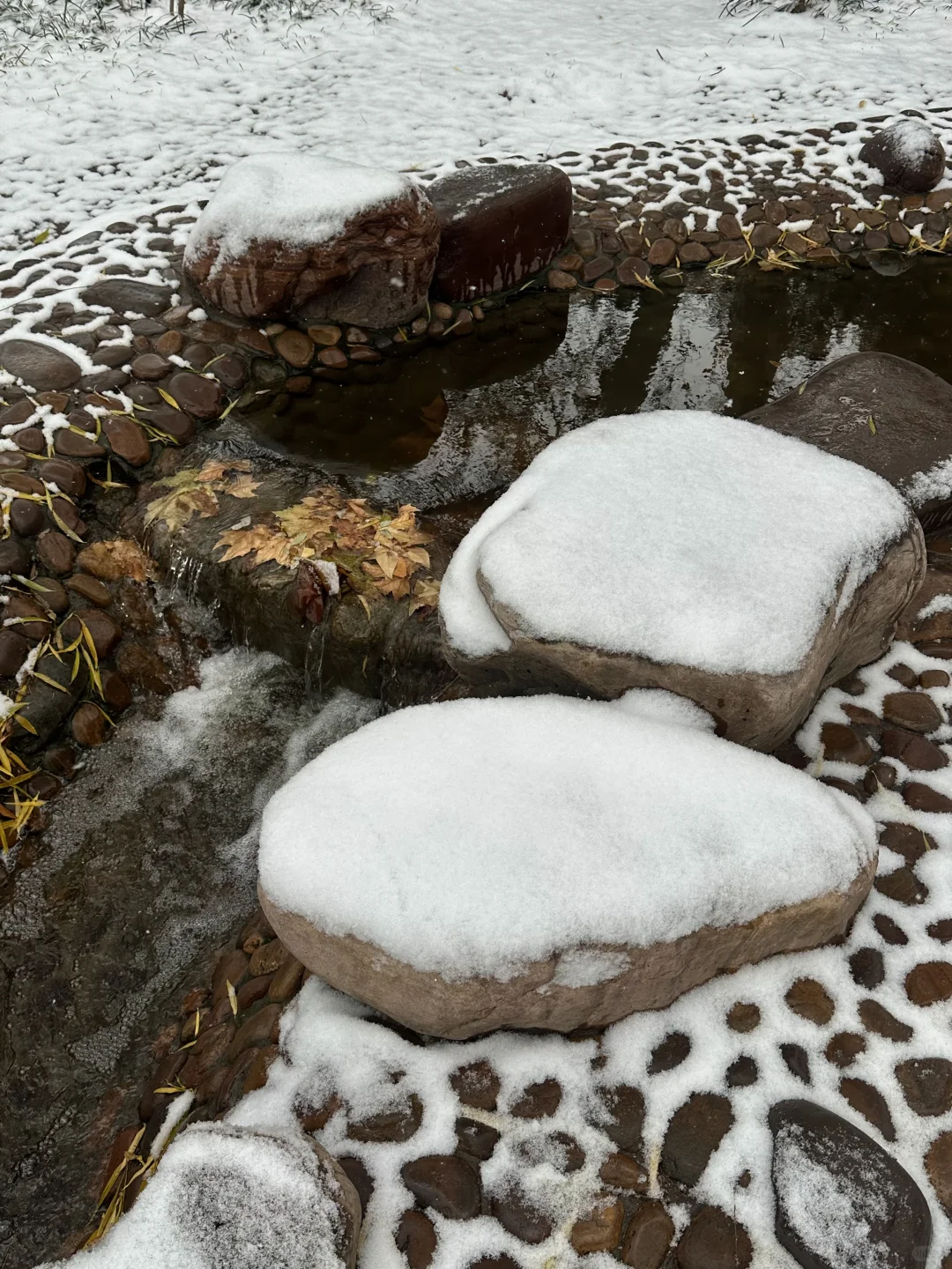 12月2日实况！！邯郸的大雪好美！！！