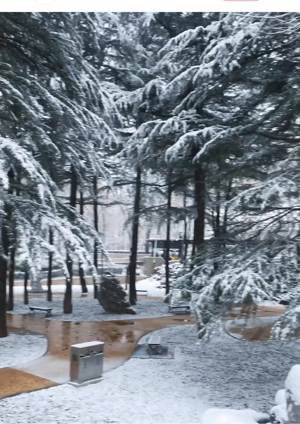 石家庄初雪❄️