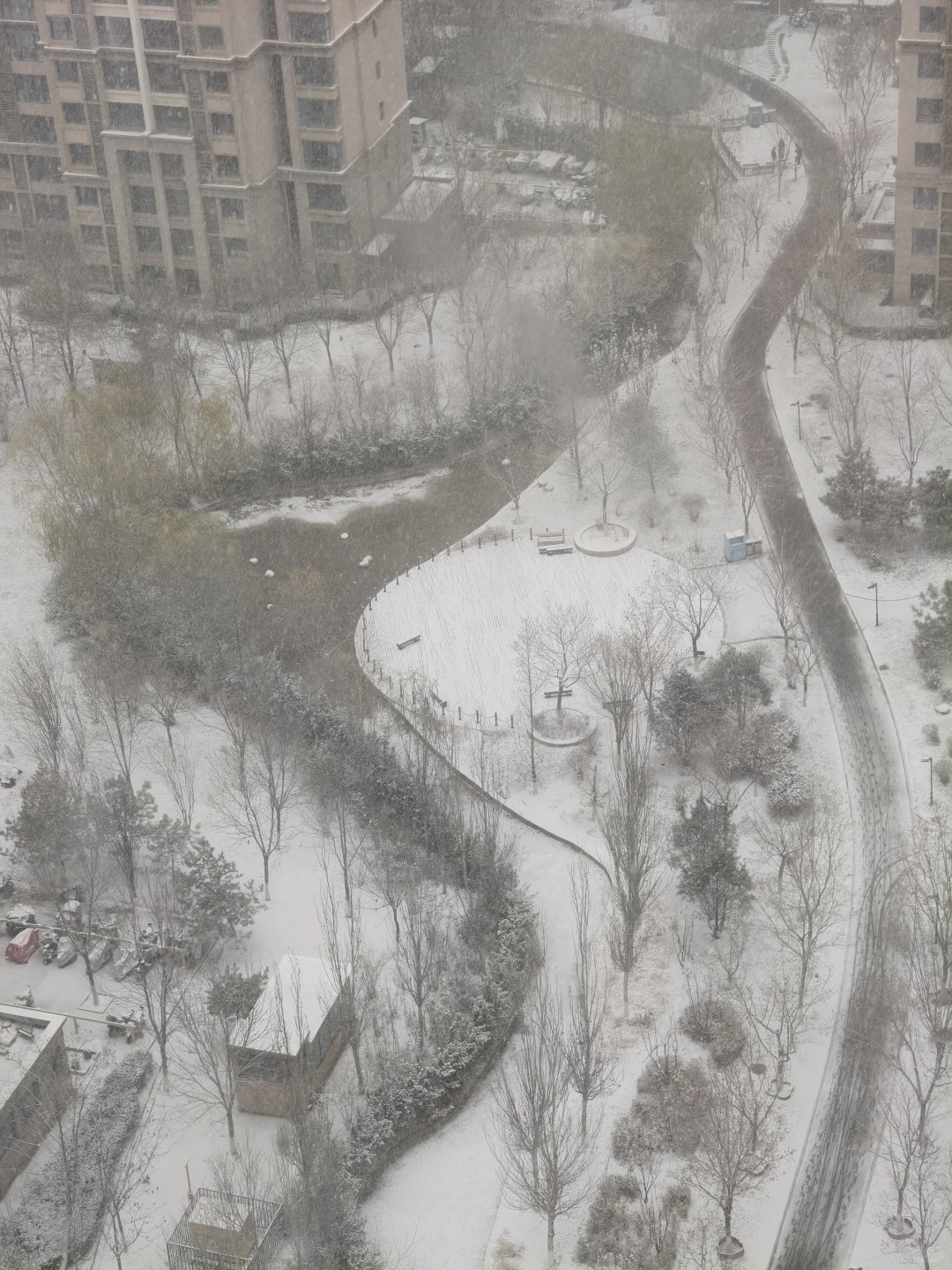 石家庄那些扬言今天下雪就去舔槐安路的人呢