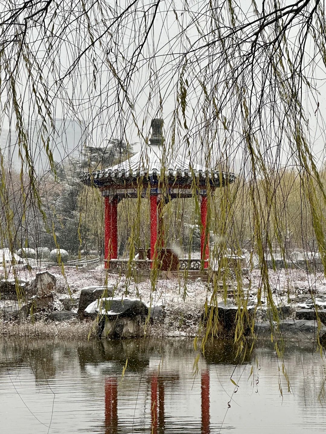 12月2日实况！！邯郸的大雪好美！！！