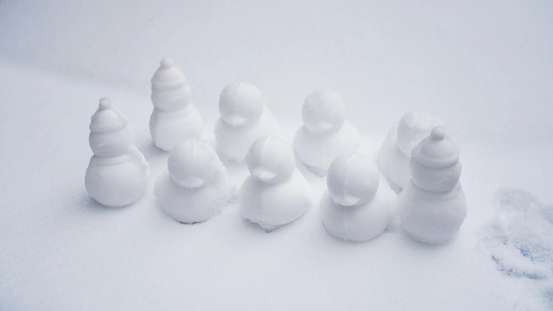 石家庄下雪啦，冬天的第一场雪🌨️