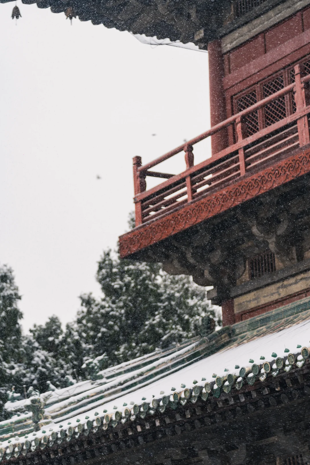 石家庄初雪，赴隆兴寺之约❄️