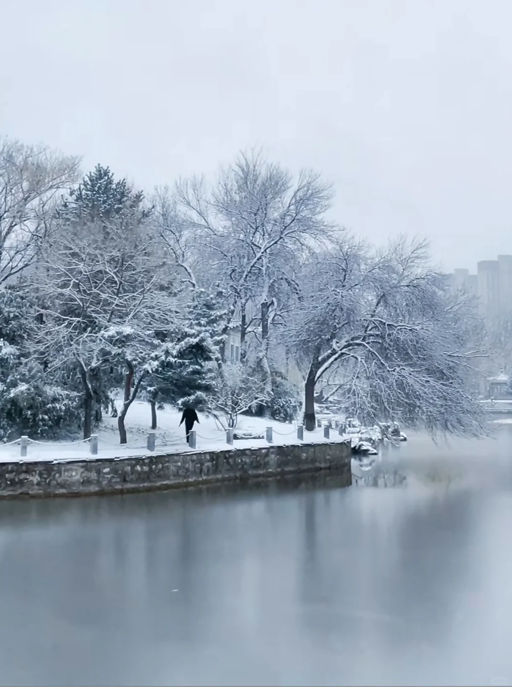 石家庄初雪❄️