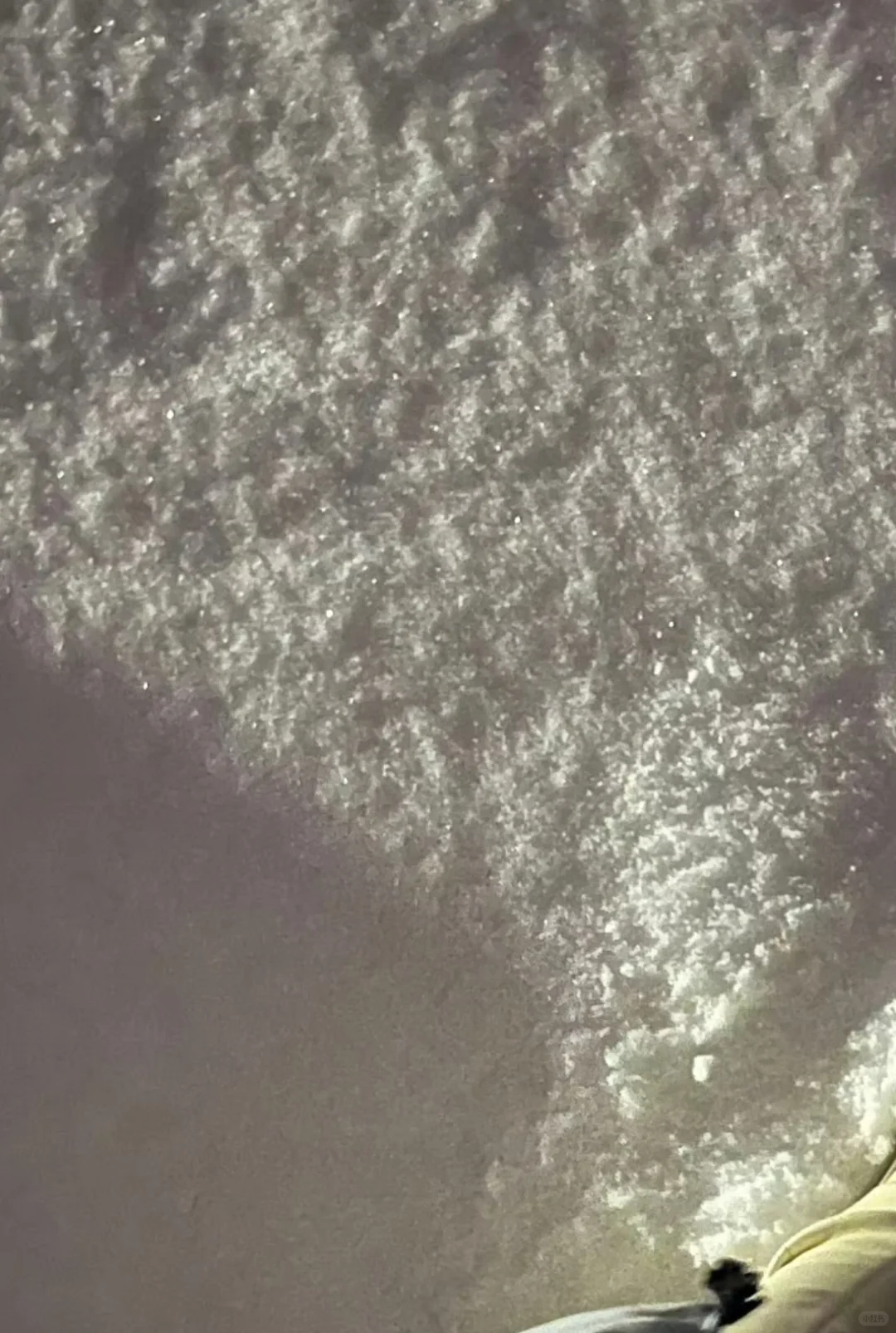 他朝若是同淋雪