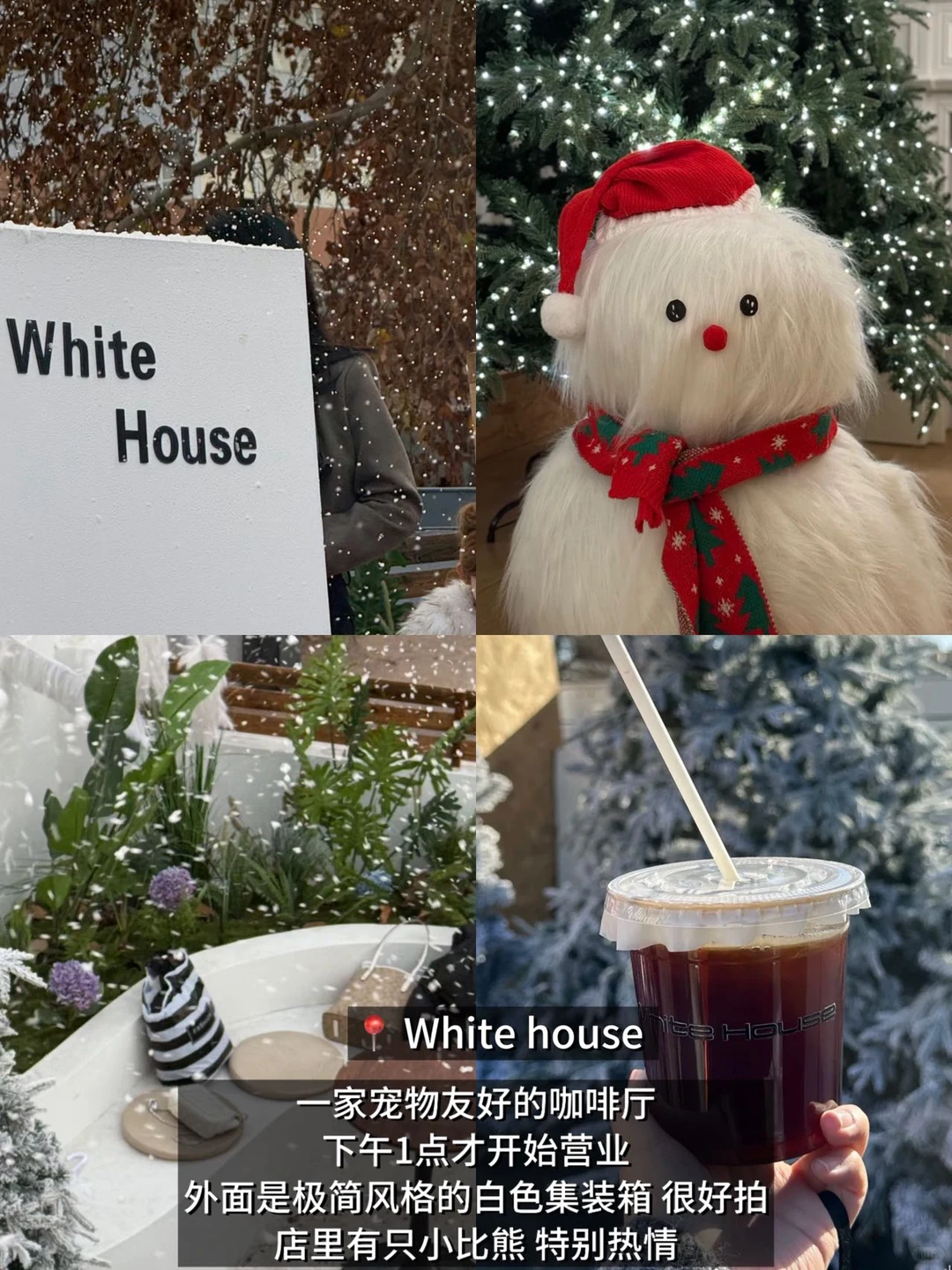 开始期待今年石家庄的圣诞了…（合集附📍）