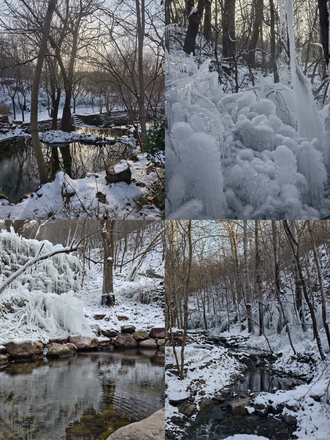 30分钟车程 石家庄的雪景真的震撼我