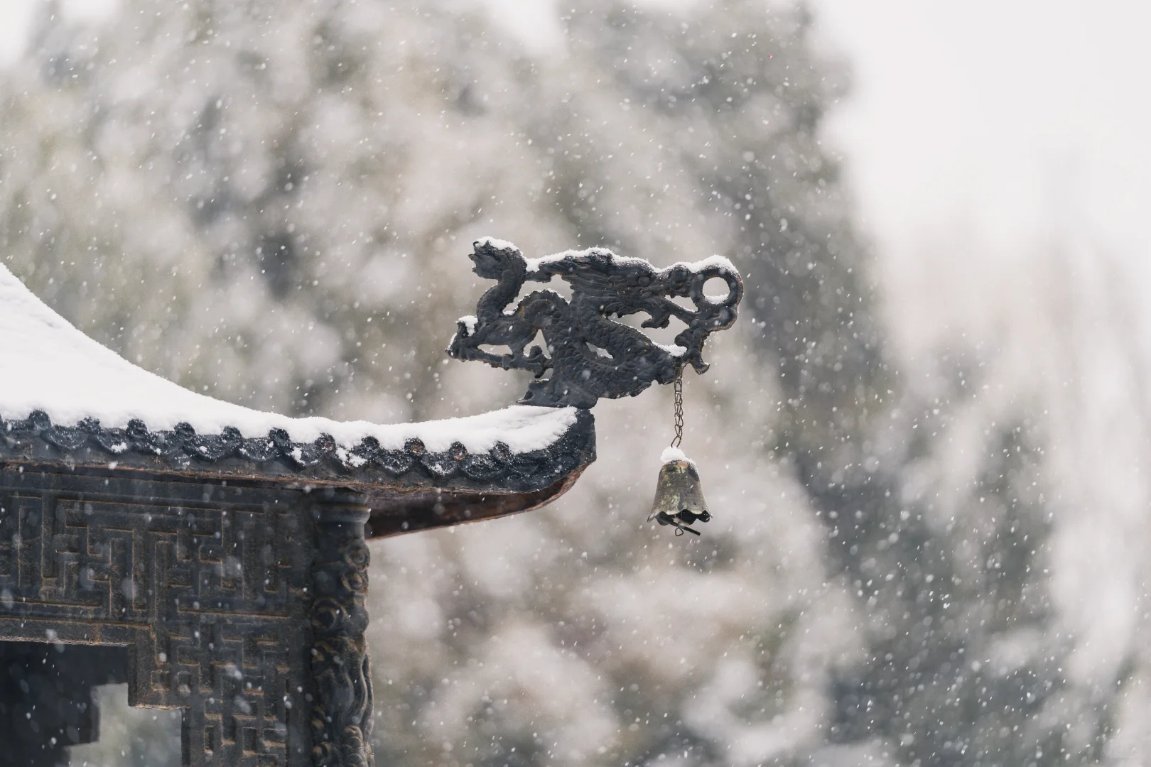 石家庄初雪，赴隆兴寺之约❄️