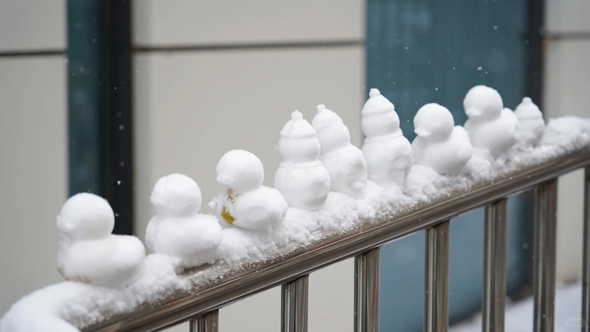 石家庄下雪啦，冬天的第一场雪🌨️