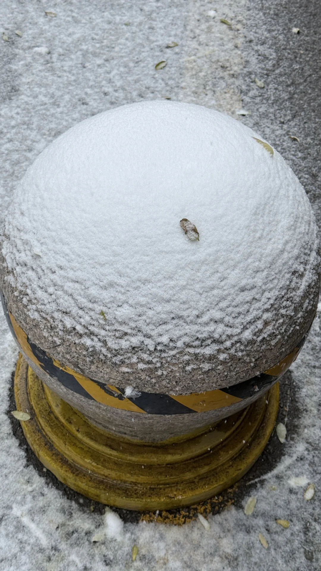 2025年12月12日，石家庄初雪❄️