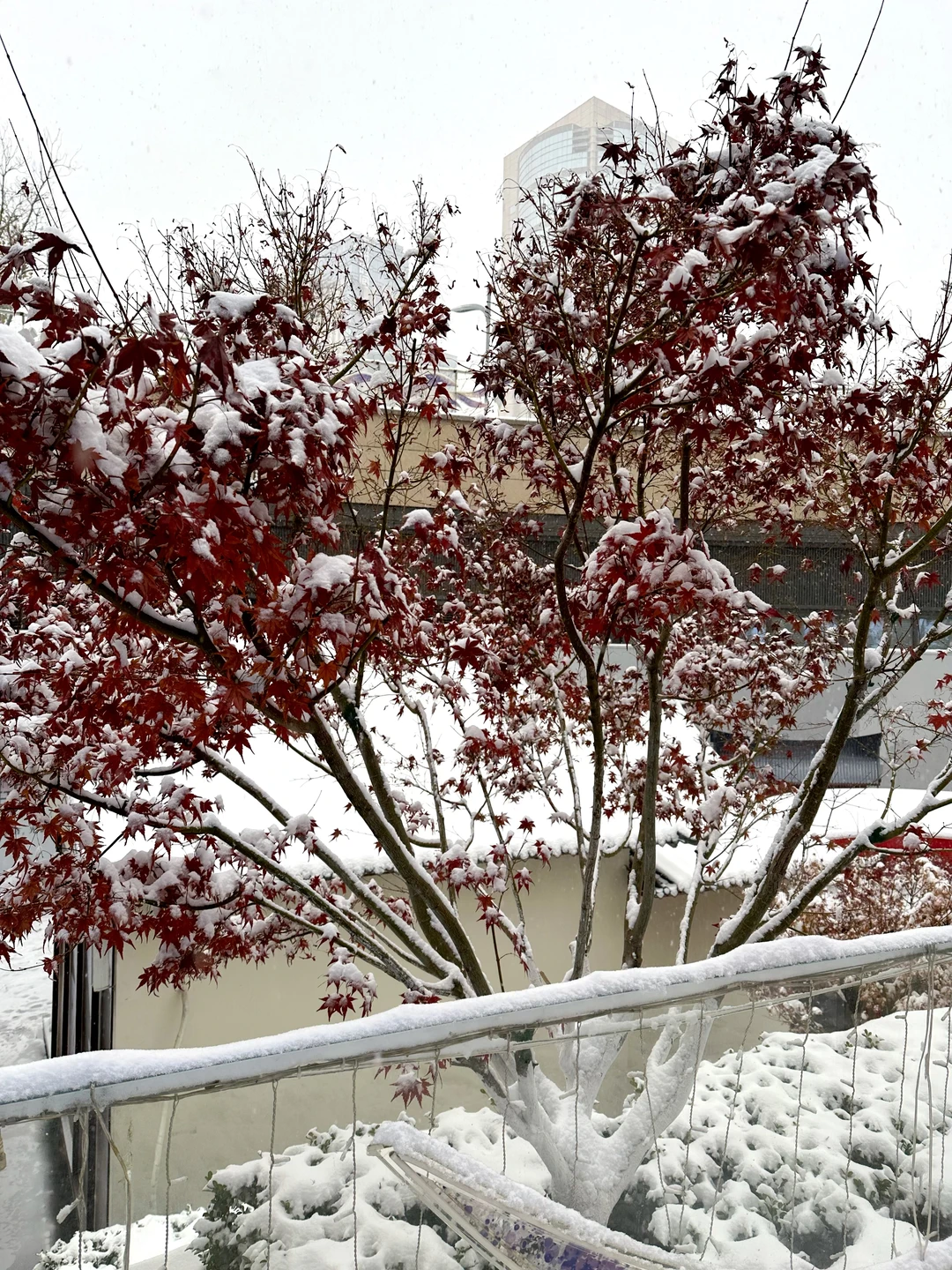 雪中的石家庄万象城美爆了！