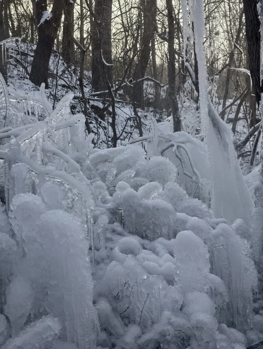 30分钟车程 石家庄的雪景真的震撼我