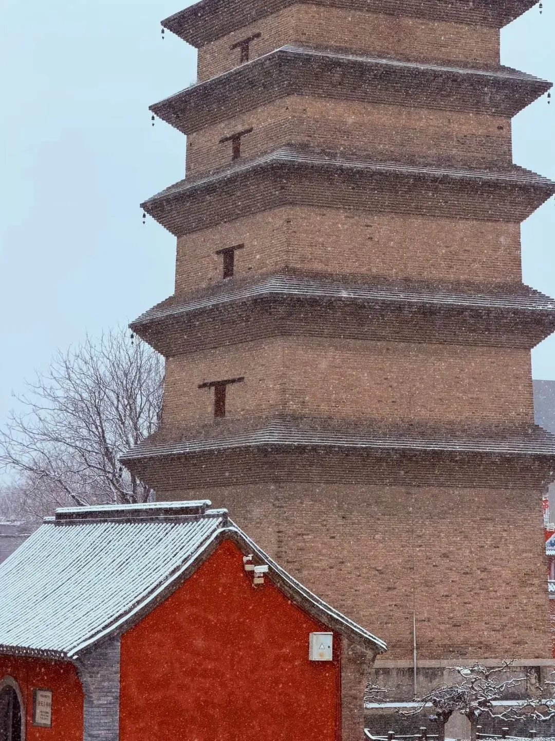 石家庄初雪❄️正定雪城  打卡古寺风雪