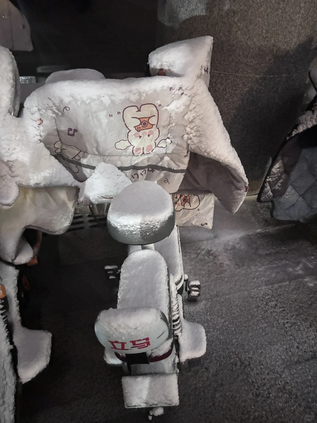 石家庄这个大雪让我感觉回到了东北